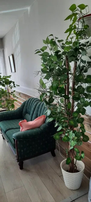 в Виллози Виллози - изображение 7