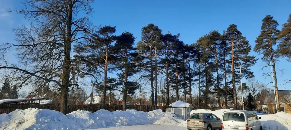 в Виллози Виллози - изображение 3