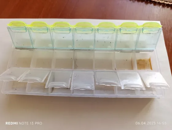 в Санкт-Петербурге Санкт-Петербург