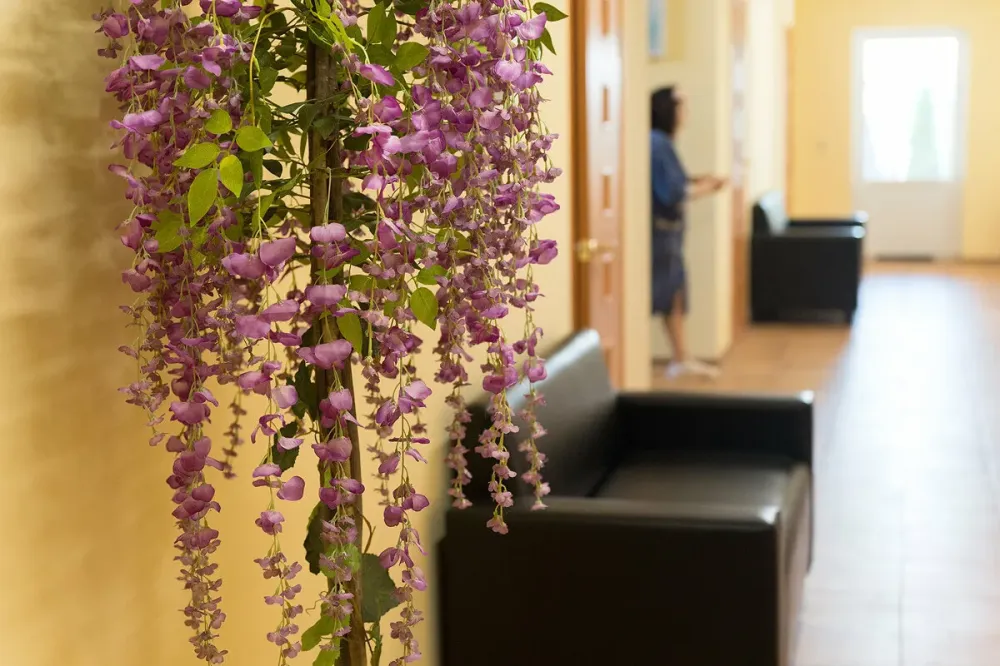 в Стрельне Стрельна - изображение 12