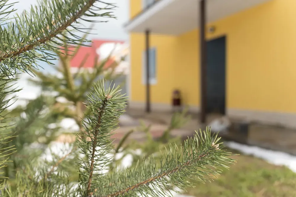 в Стрельне Стрельна - изображение 10