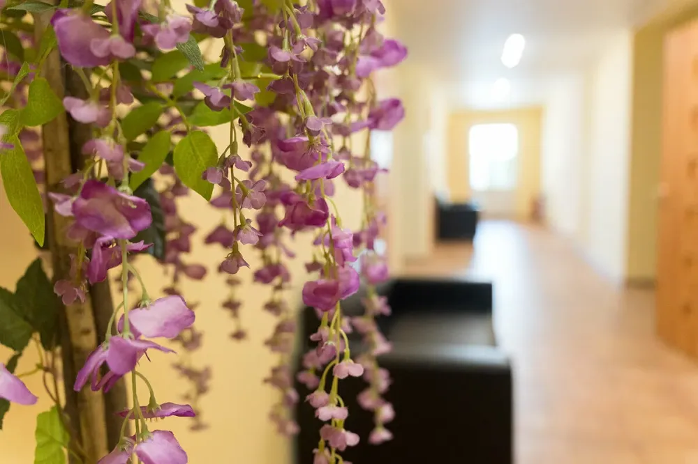 в Стрельне Стрельна - изображение 18