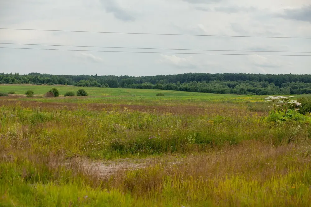 в Русско-Высоцком Русско-Высоцкое - изображение 20