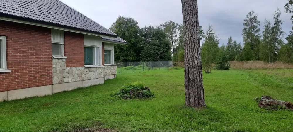 в Волосово Волосово - изображение 11