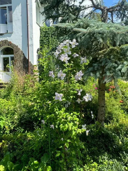 в Кубинке Кубинка - изображение 8