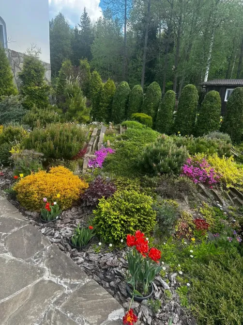 в Кубинке Кубинка - изображение 17