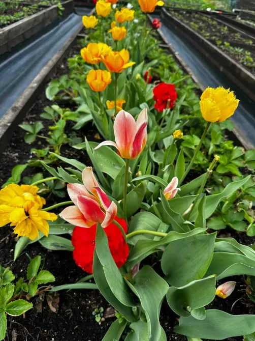 в Кубинке Кубинка - изображение 16