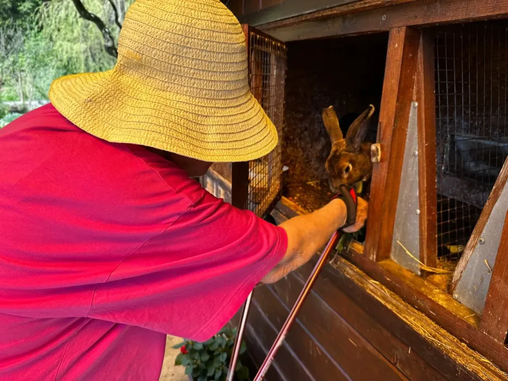 в Кубинке Кубинка - изображение 14