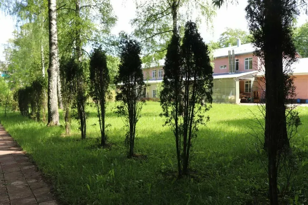 в Новосиньково Новосиньково - изображение 15