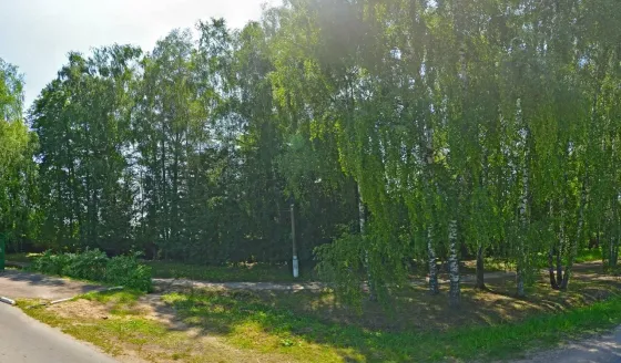 в Новосиньково Новосиньково