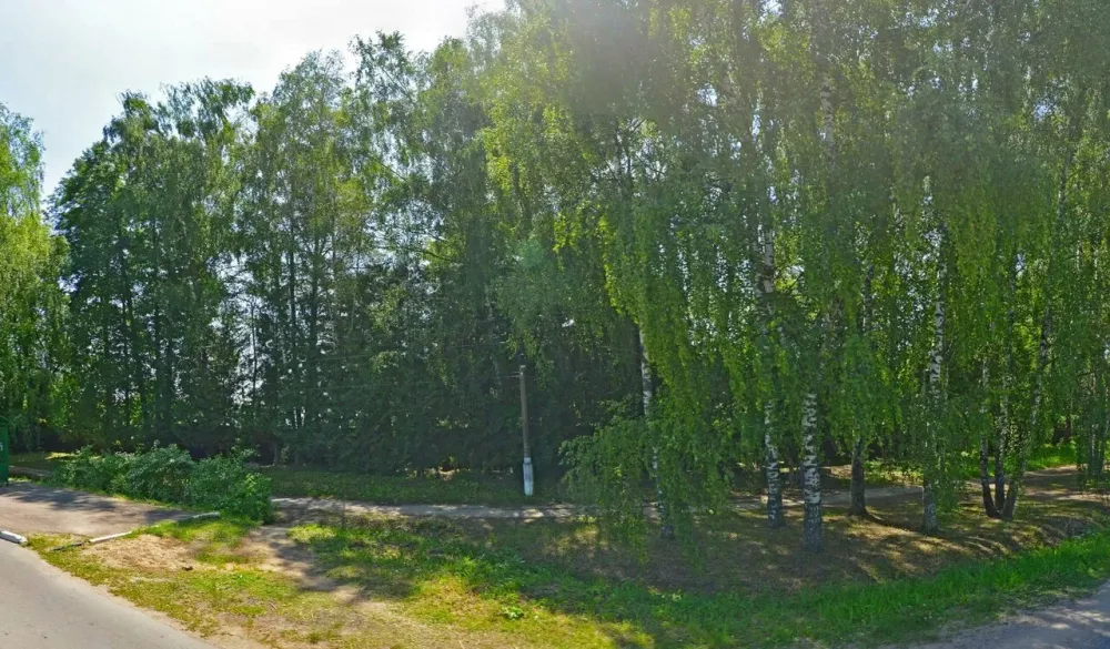 в Новосиньково Новосиньково - изображение 1