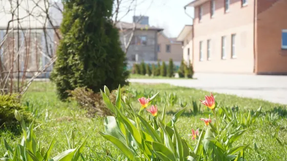 в Икше Икша