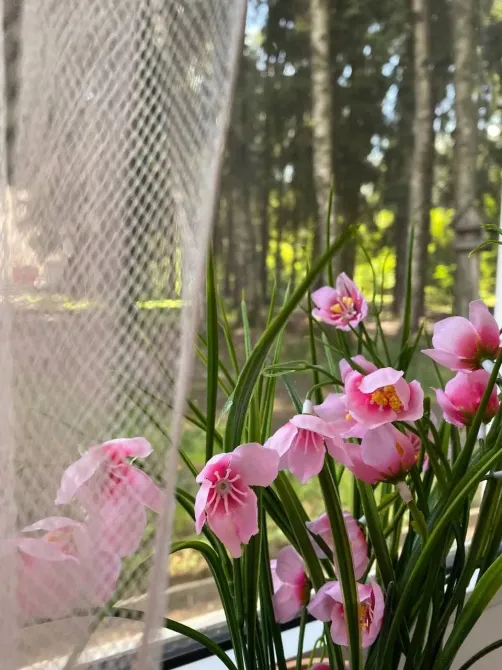 в Отрадном Отрадное - изображение 15