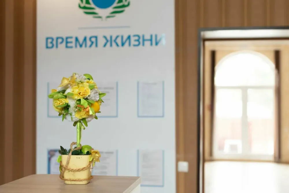 в Дедовске Дедовск - изображение 12