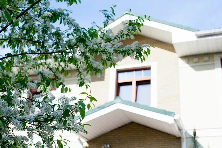 в Барвихе Барвиха - изображение 17