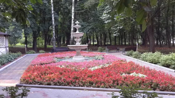 в Москве и Московской обл. Москва и Московская обл.