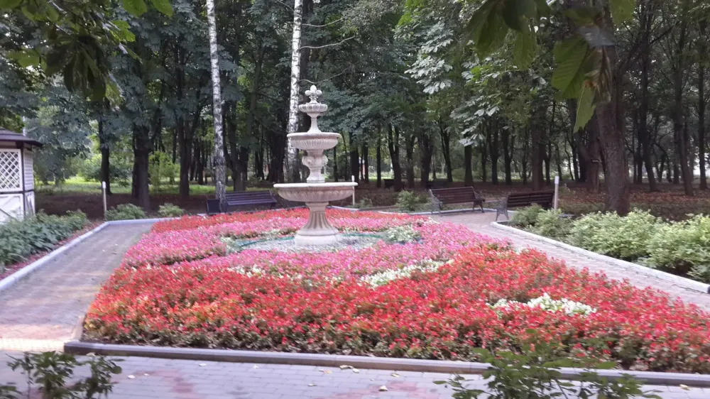 в Москве и Московской обл. Москва и Московская обл. - изображение 4