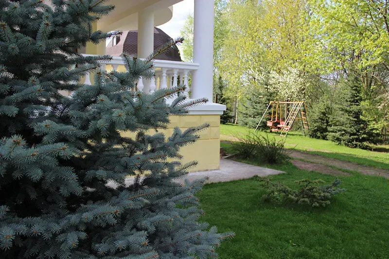 в Одинцово Одинцово - изображение 8