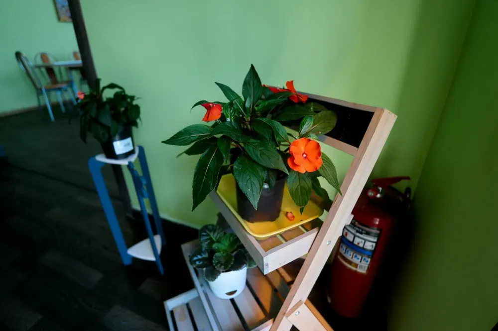 в Зеленоградске Зеленоградск - изображение 16