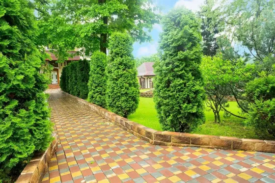 в Сходне Сходня