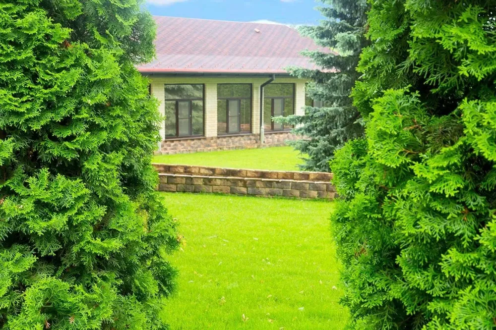 в Сходне Сходня - изображение 7