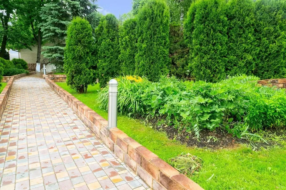 в Сходне Сходня - изображение 16