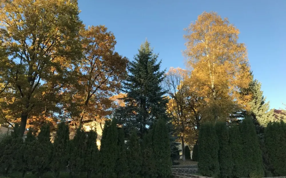 в Сходне Сходня - изображение 10