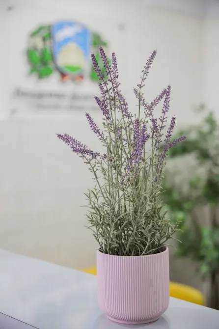 в Химках Химки - изображение 18