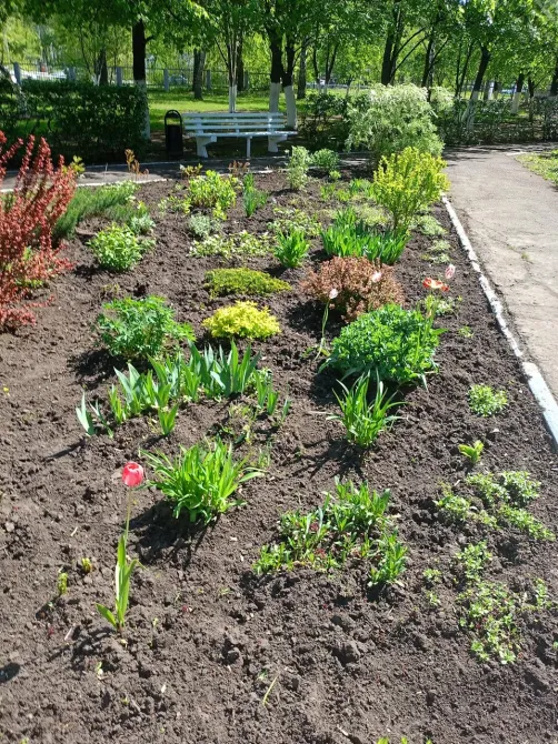 в Ульяновске Ульяновск - изображение 19