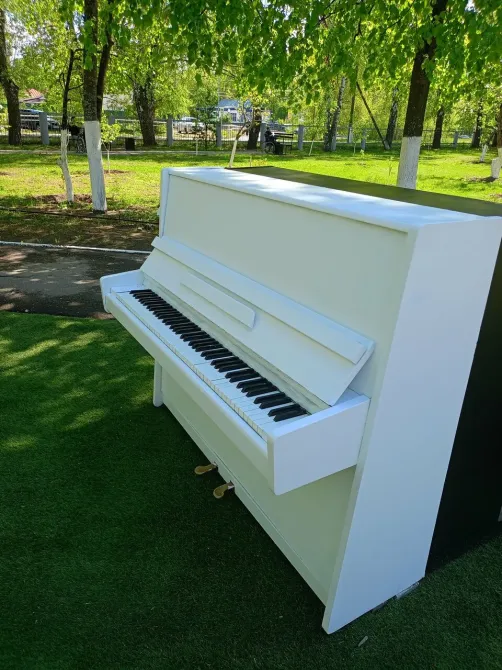 в Ульяновске Ульяновск - изображение 14