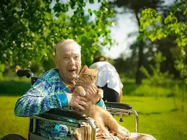 в Лопатино Лопатино - изображение 19