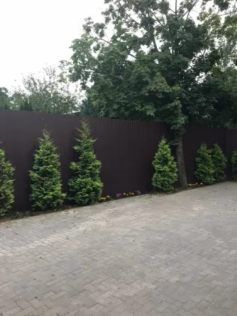 в Видном Видное