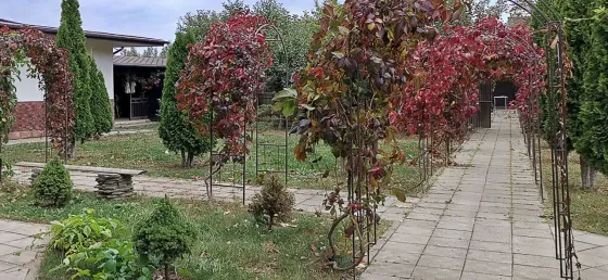 в Покрове Покров