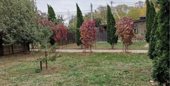 в Покрове Покров