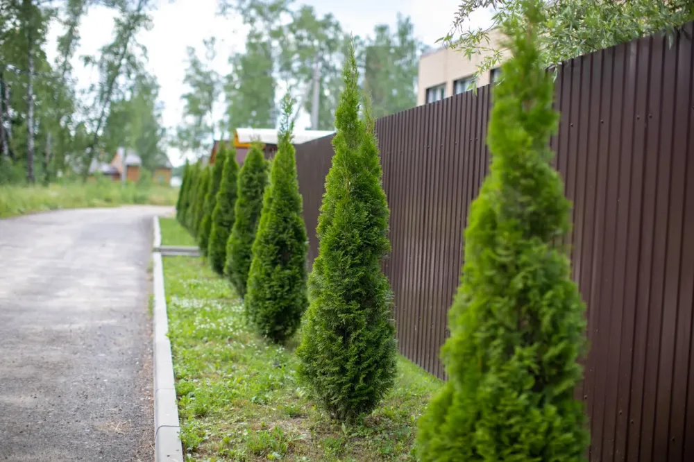 в Бронницах Бронницы - изображение 2