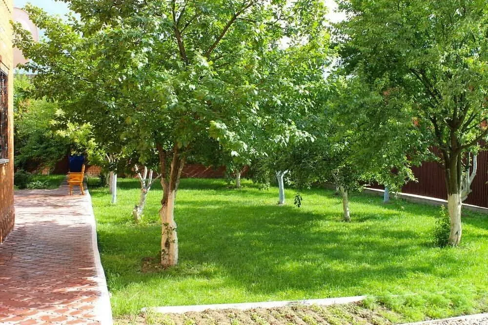 в Коммунарке Коммунарка - изображение 8