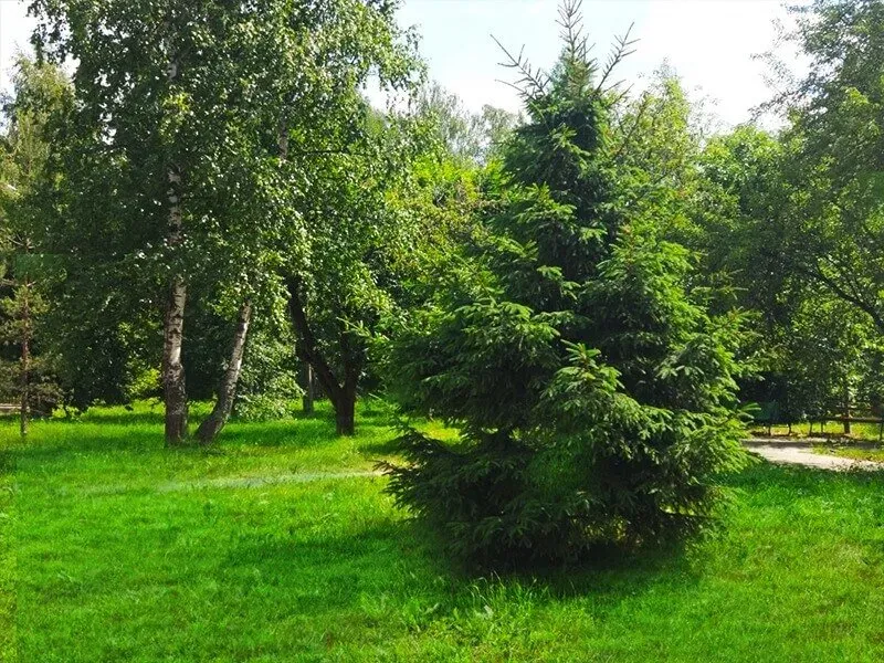 в Володарского Володарского - изображение 7