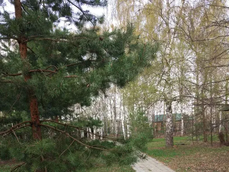 в Володарского Володарского - изображение 4