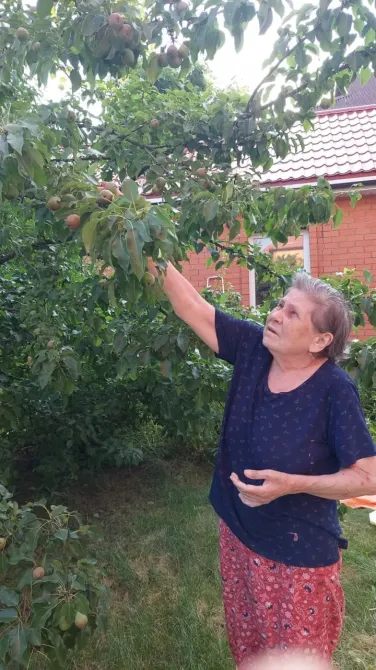 в Петровском Петровское - изображение 15