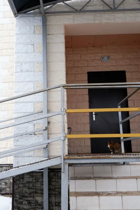 в Домодедово Домодедово - изображение 15