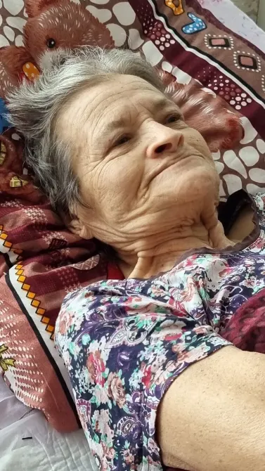 в Богородицке Богородицк - изображение 12