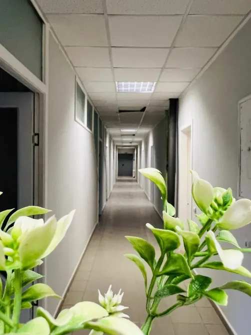 в Туле Тула - изображение 13