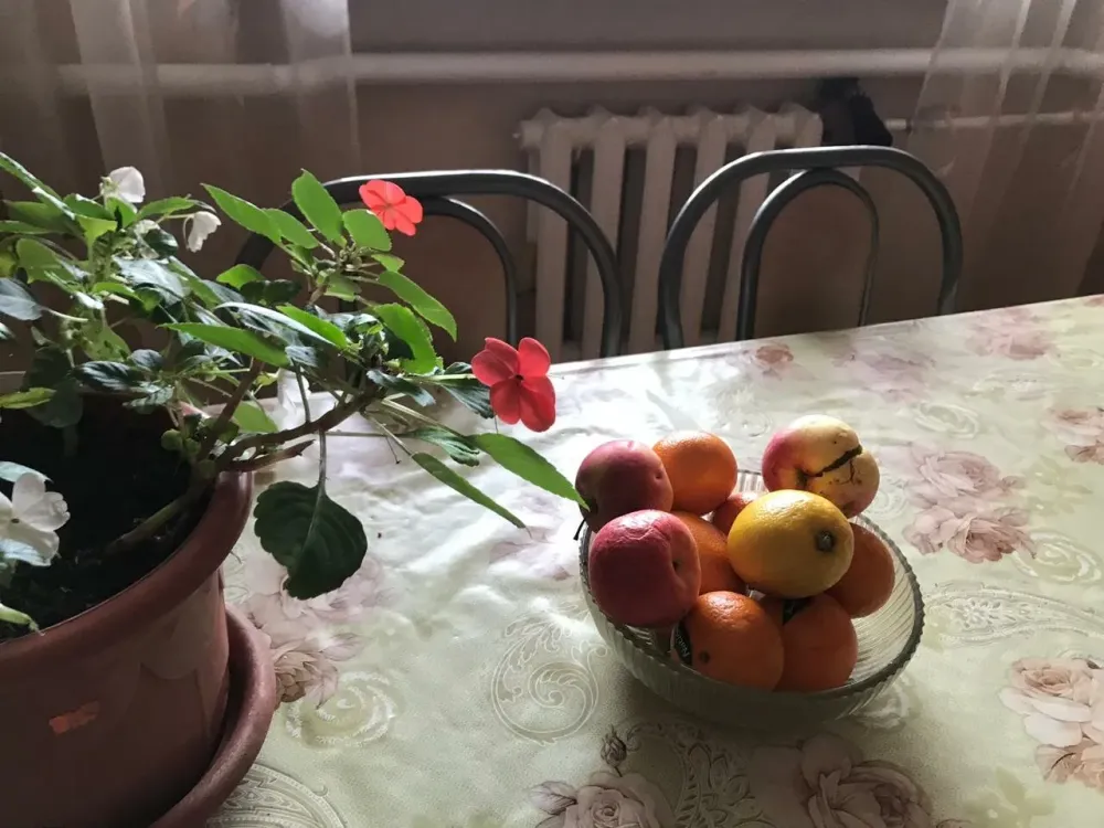 в Прибрежном Прибрежный - изображение 2