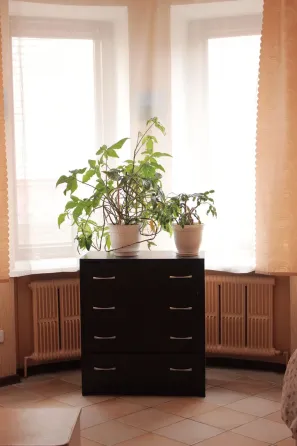 в Воронеже Воронеж