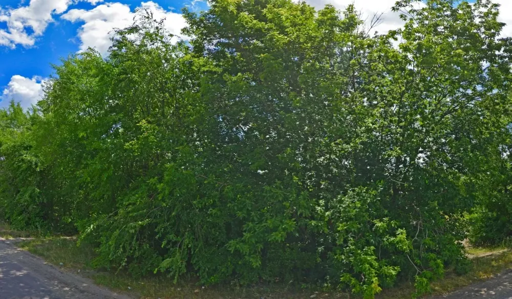 в Воронеже Воронеж - изображение 9