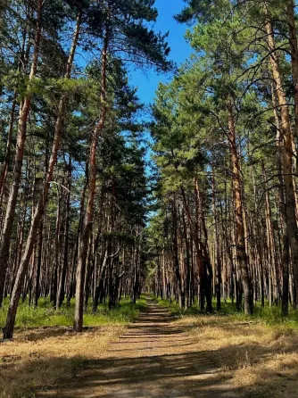 в Воронеже Воронеж