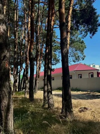 в Воронеже Воронеж