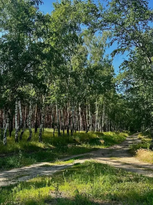 в Воронеже Воронеж - изображение 3