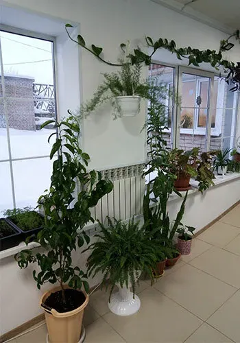 в Калуге Калуга - изображение 11