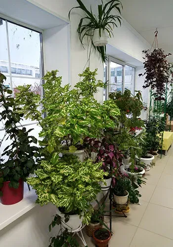 в Калуге Калуга - изображение 13